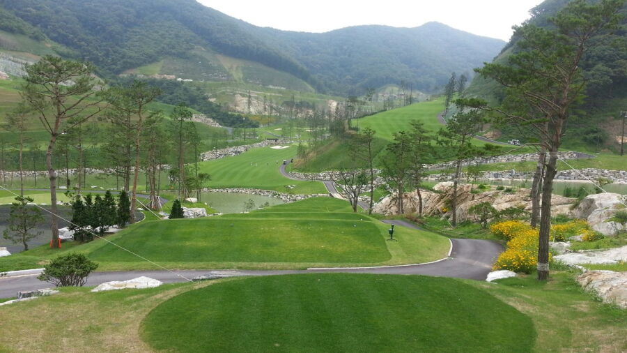 Summit CC - S Nine