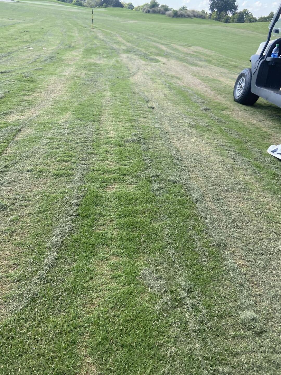 (Photo submitted by u8560099 on 09/29/2021)