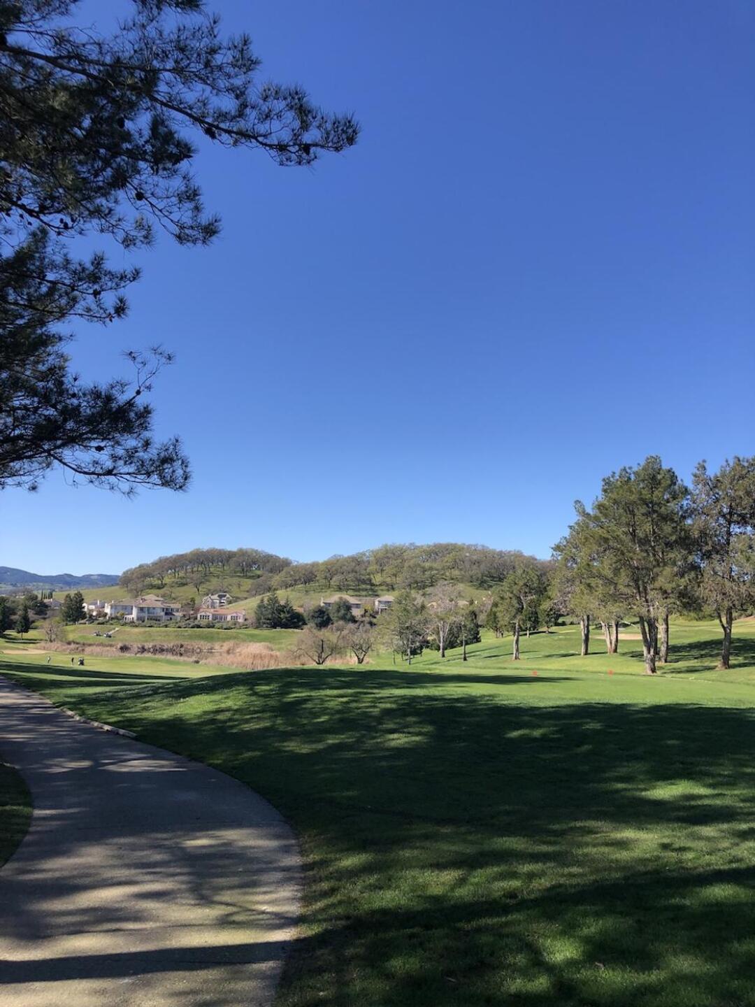 (Photo submitted by masonwoodruff on 02/09/2025)