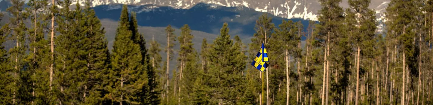 Meadow Golf Course at Pole Creek Golf Club