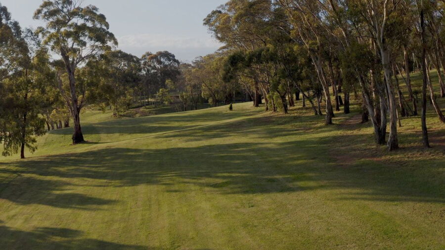 Oberon GC: #4