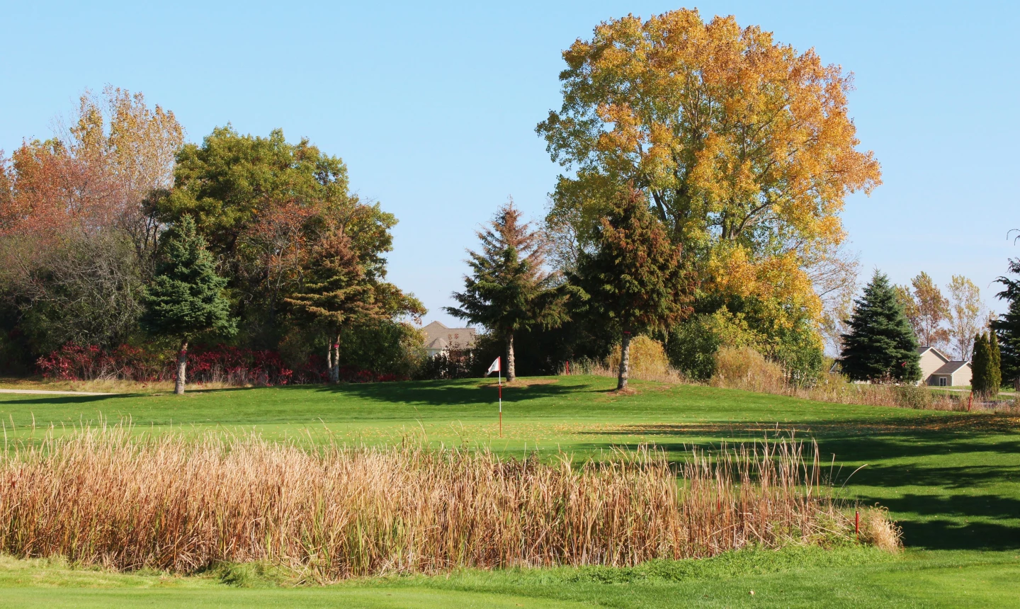 Evergreen Golf Club - East Course - hole 8