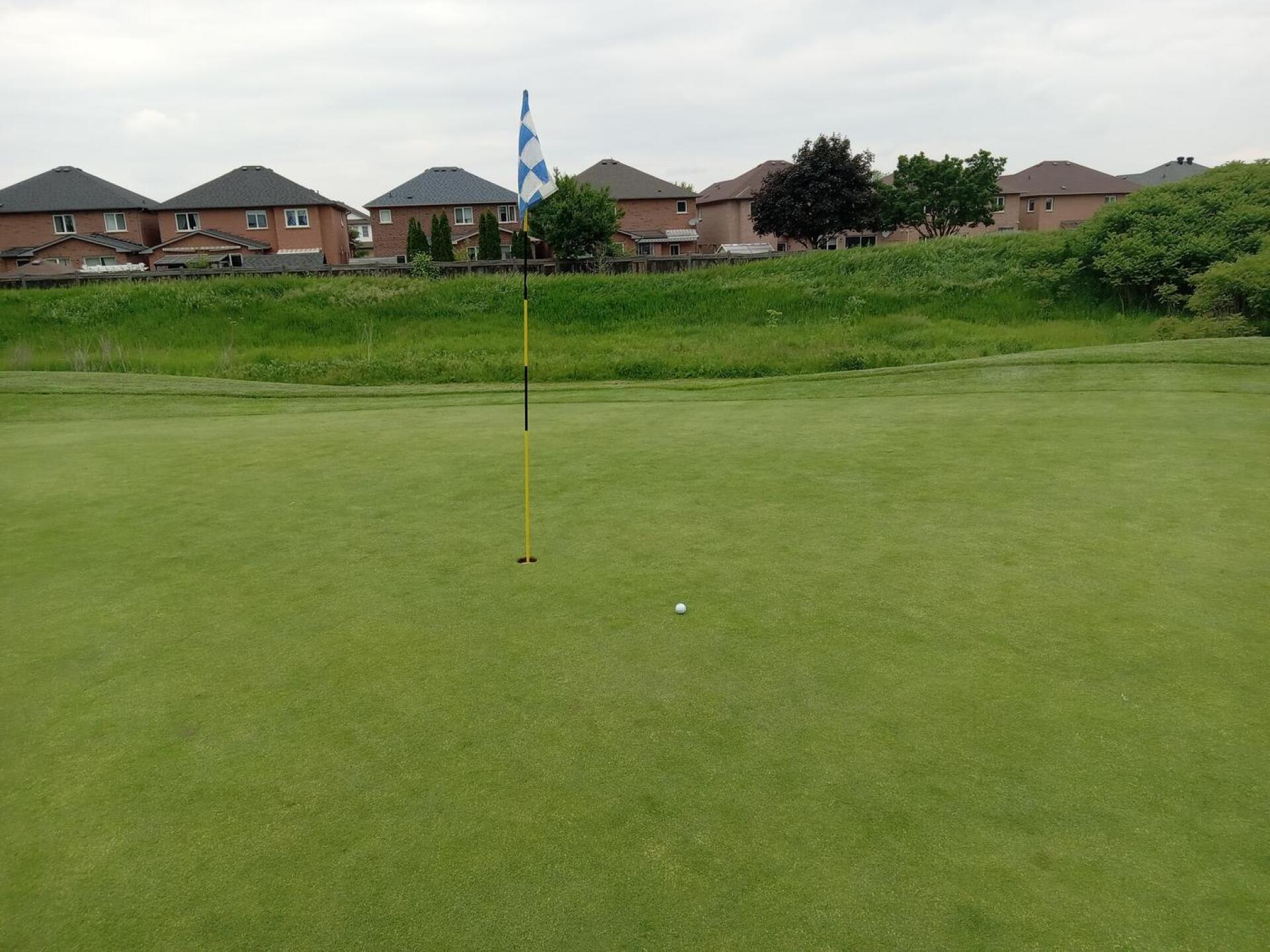 (Photo submitted by maildavidblois on 06/09/2023)