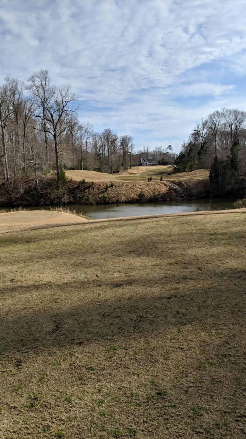(Photo submitted by Back9Ben on 03/15/2019)