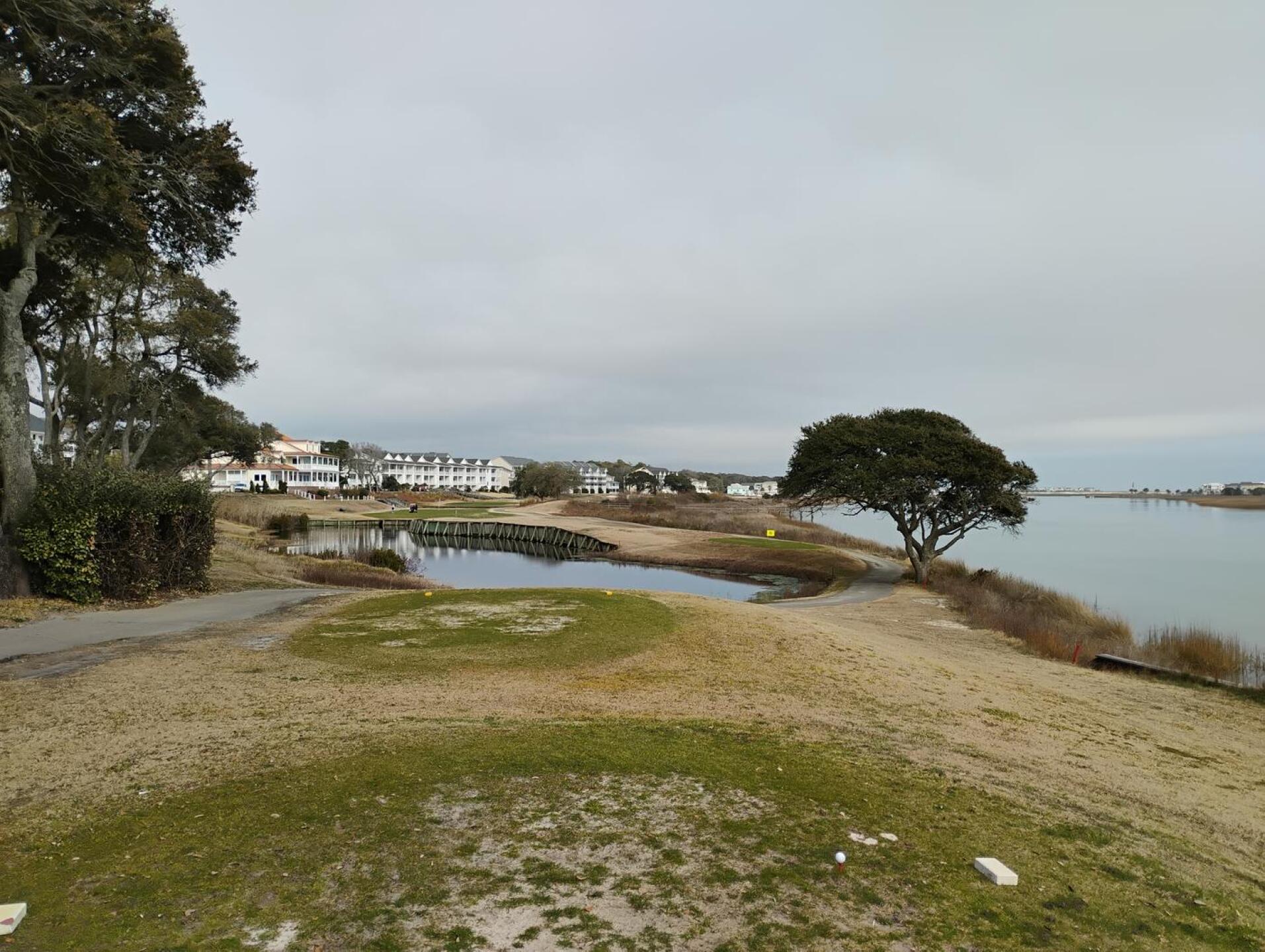 (Photo submitted by Aquaneon on 02/07/2025)