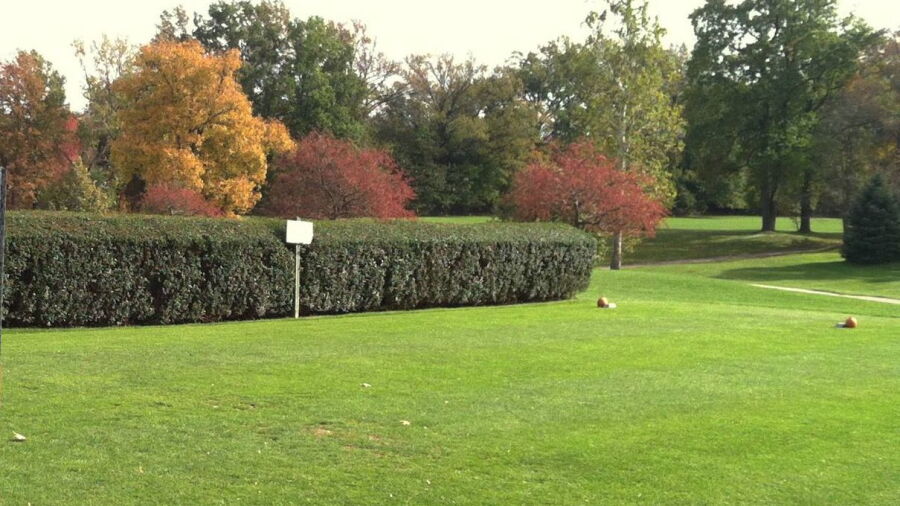 Black Brook CC