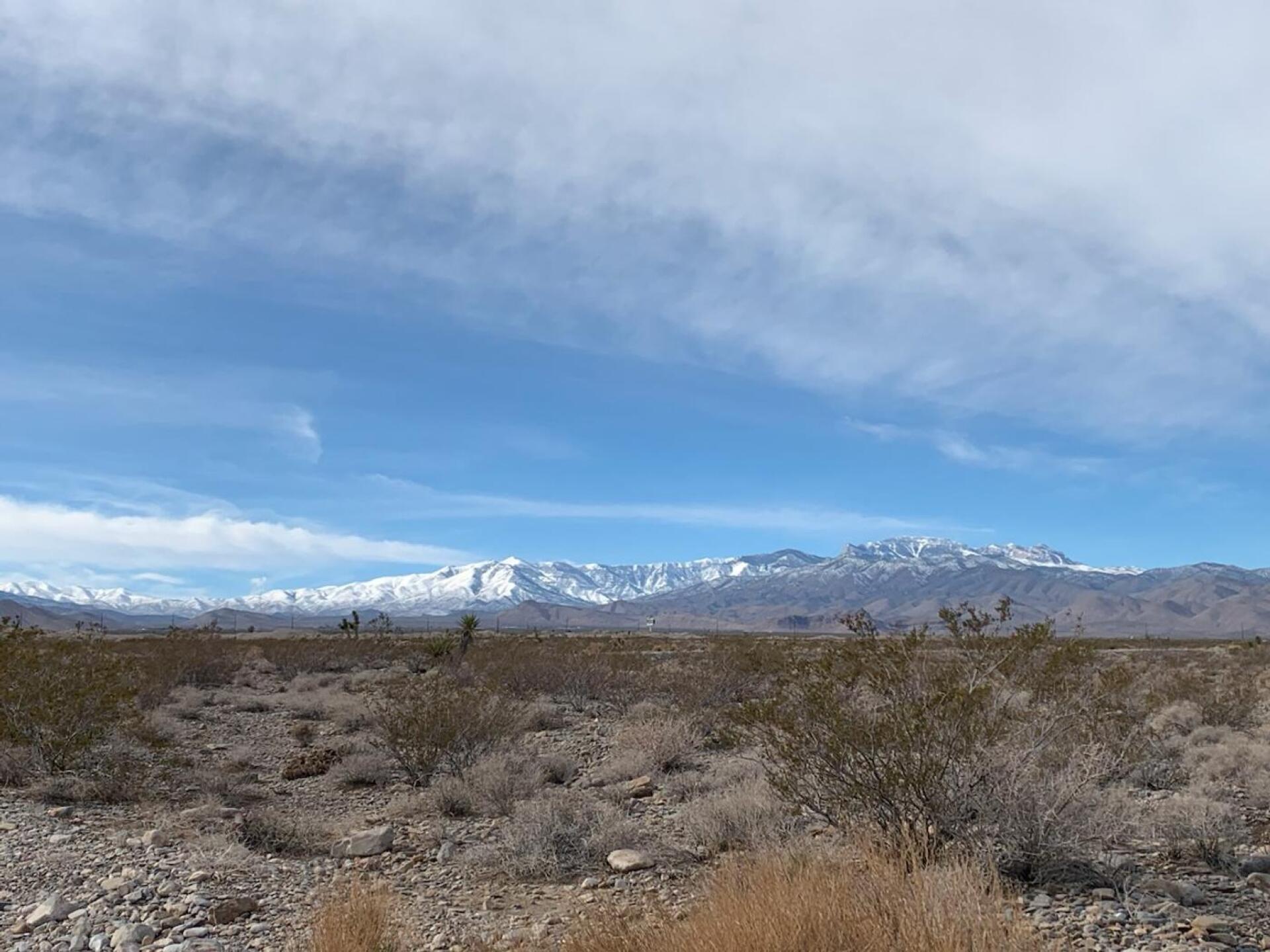 (Photo submitted by u314162770281 on 01/11/2023)