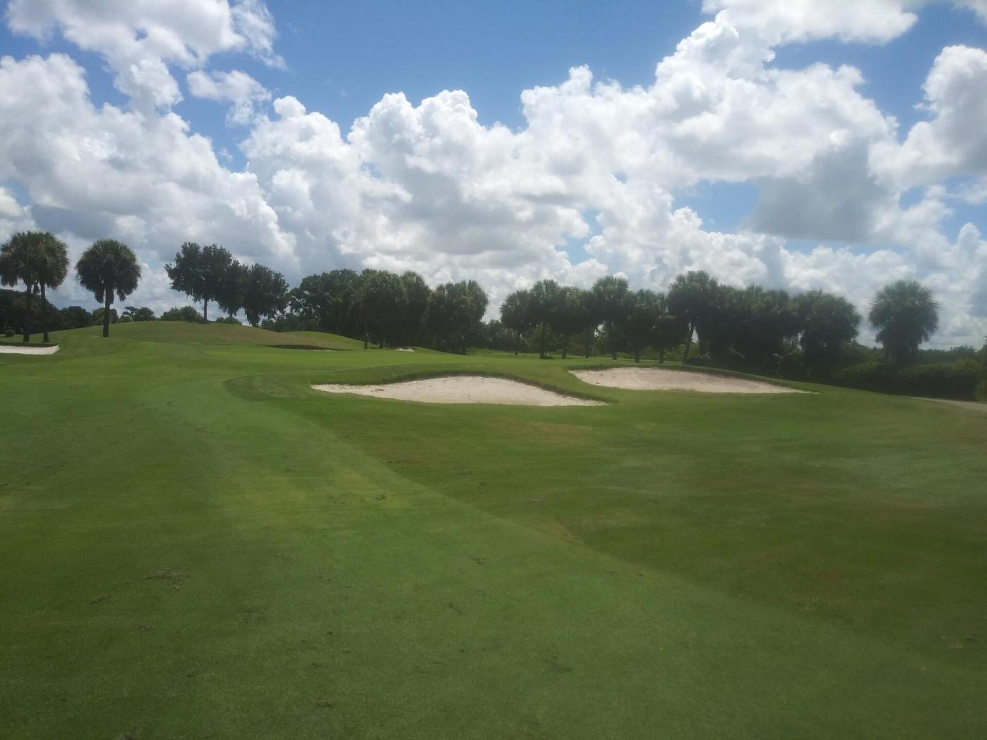 (Photo submitted by u000006681800 on 07/21/2020)