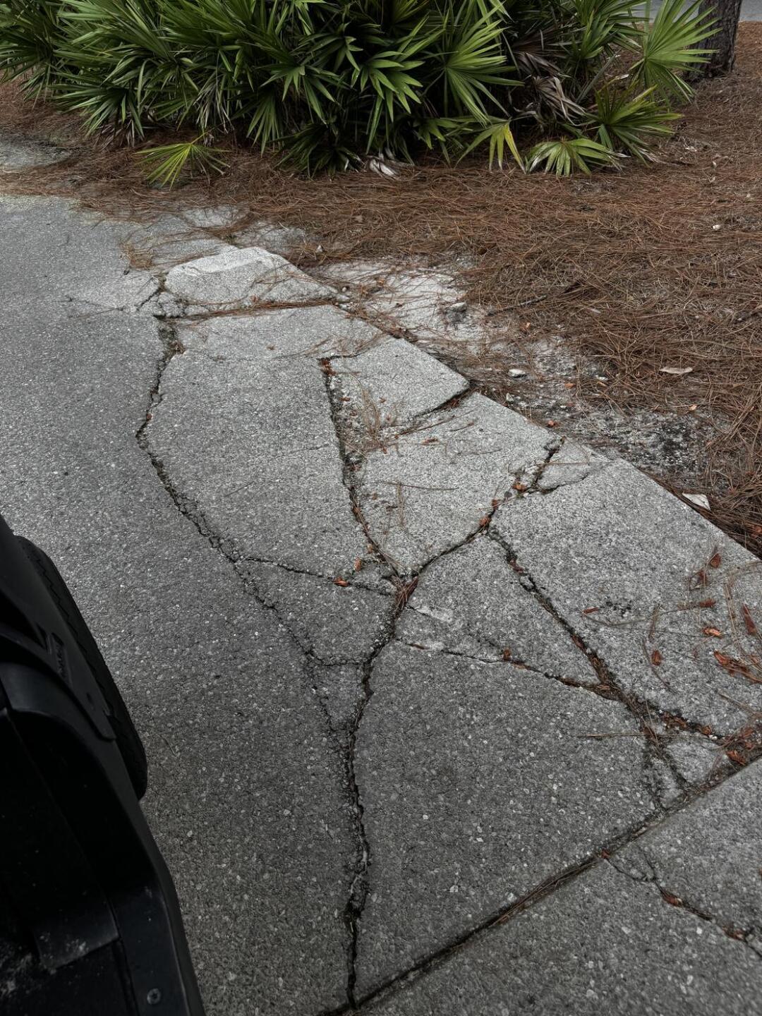 An example of the course (Photo submitted by karate on 08/18/2025)