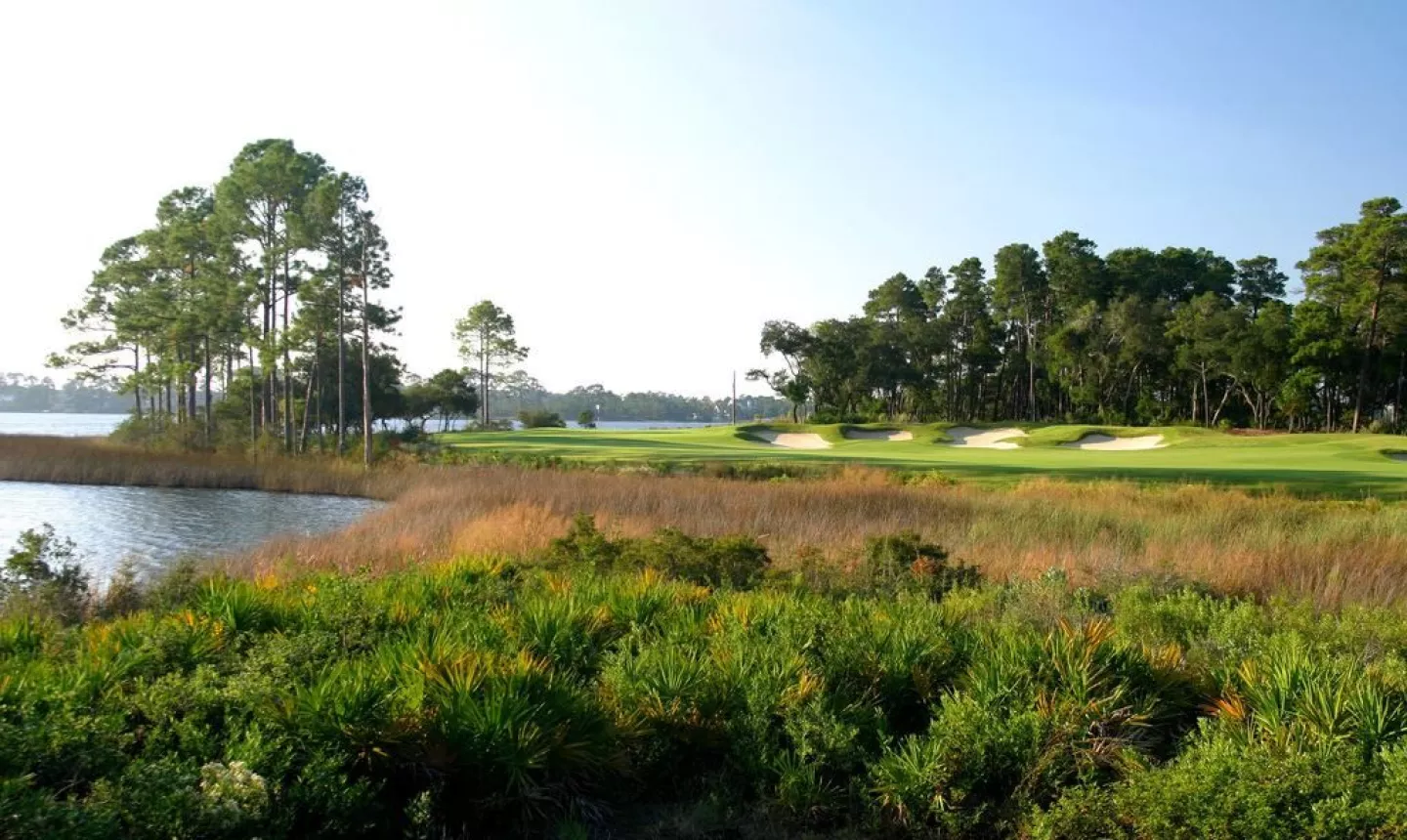 Sharks Tooth GC: #6