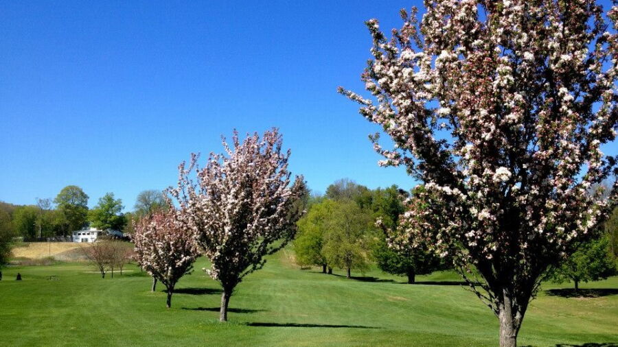 Shawangunk CC