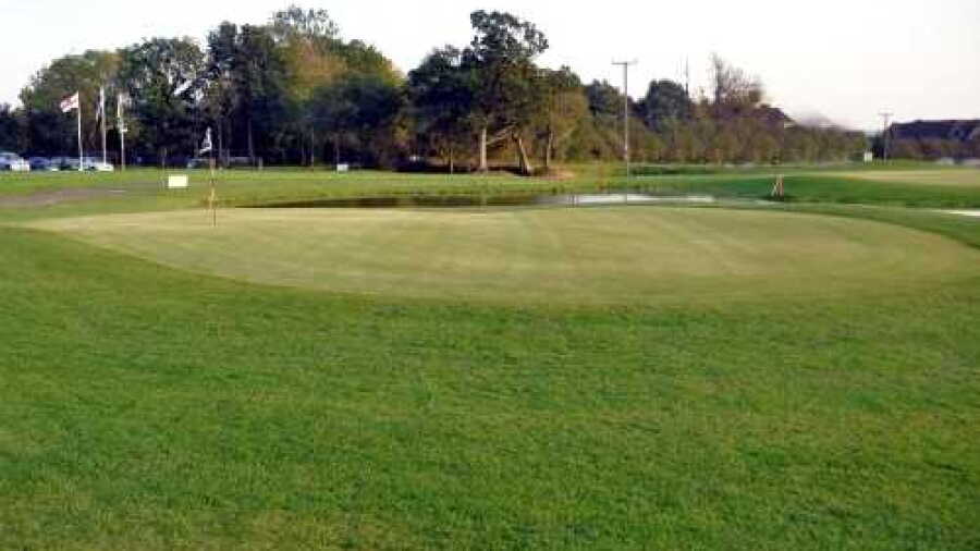 Lydney GC: #5