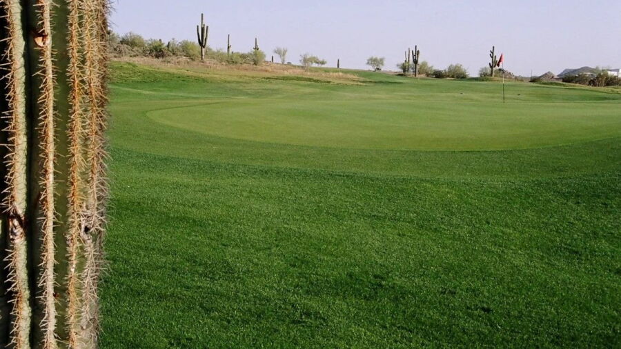 San Tan Highlands