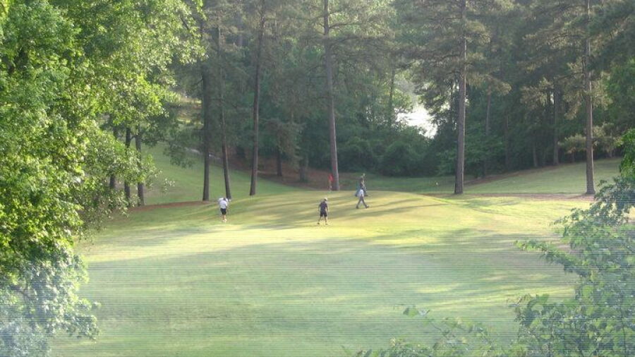 Birmingham Forest GC: #15