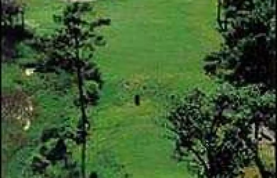 Marsh Harbour Golf Links