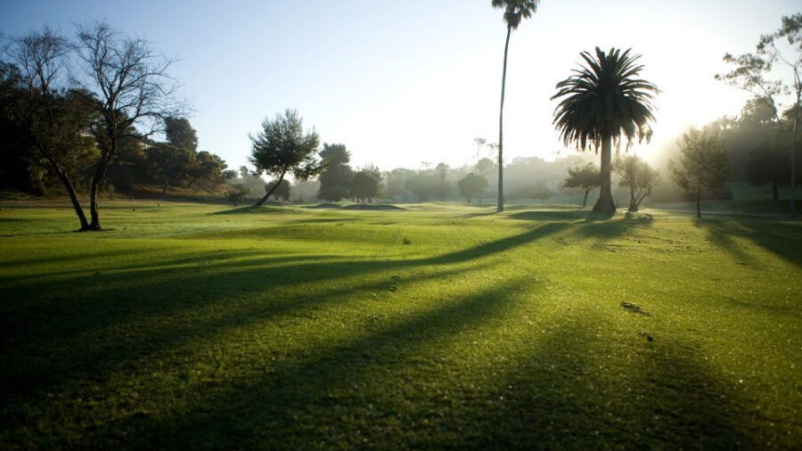 El Camino CC
