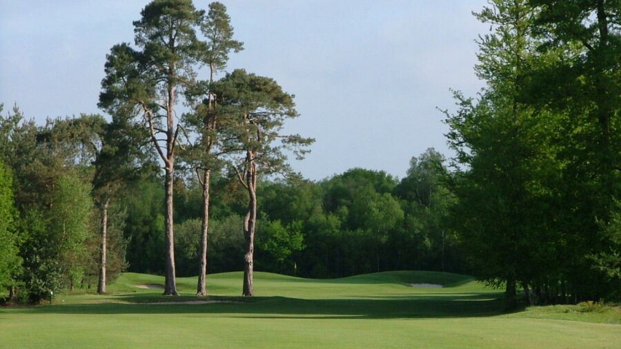 11th at Chartham Park