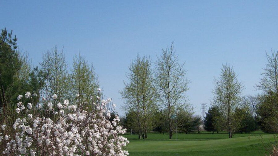 Morningstar GC: #17