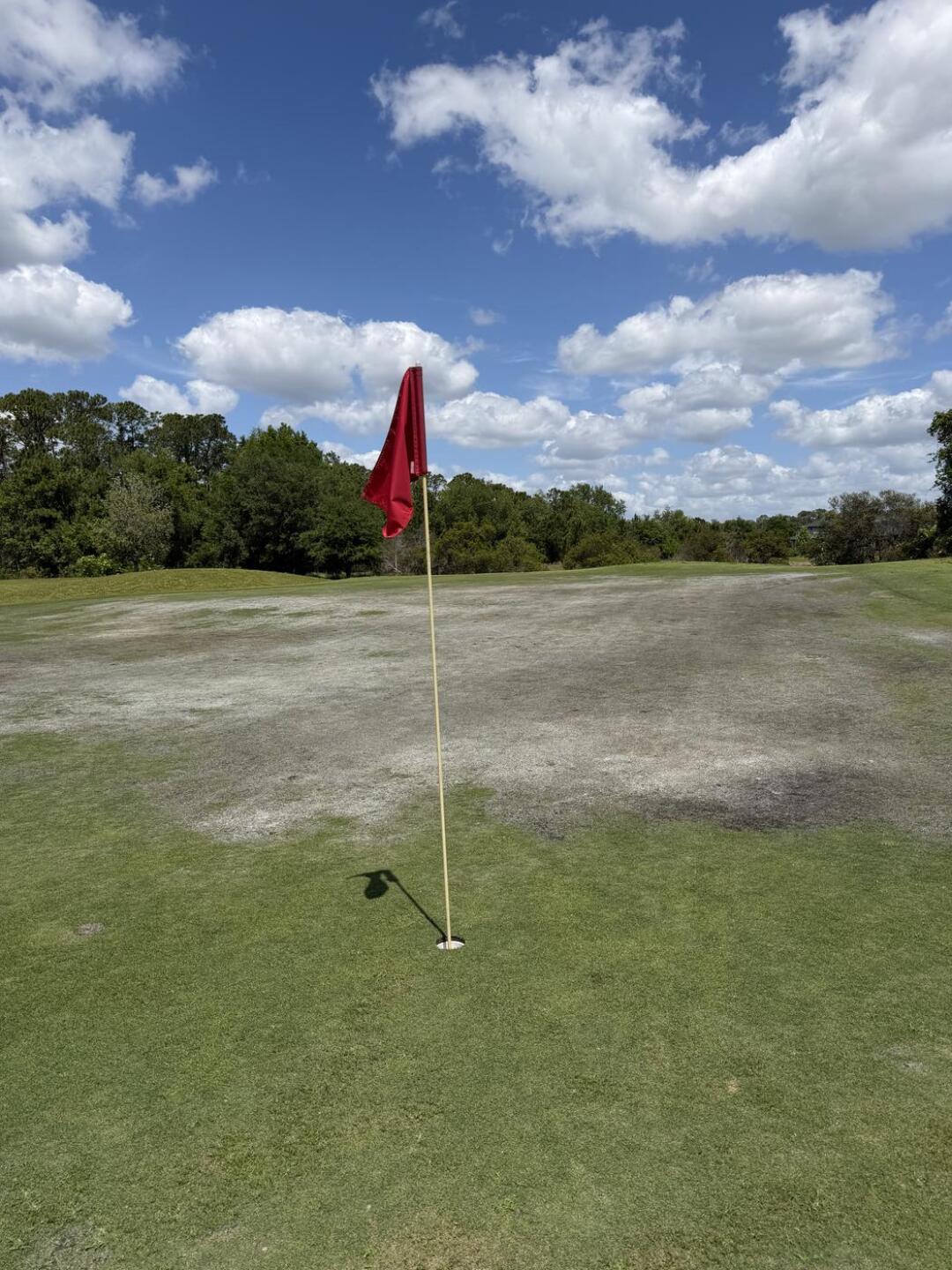 Greens (Photo submitted by bucsforlife on 04/16/2026)