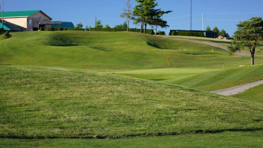 Golfer's Dream