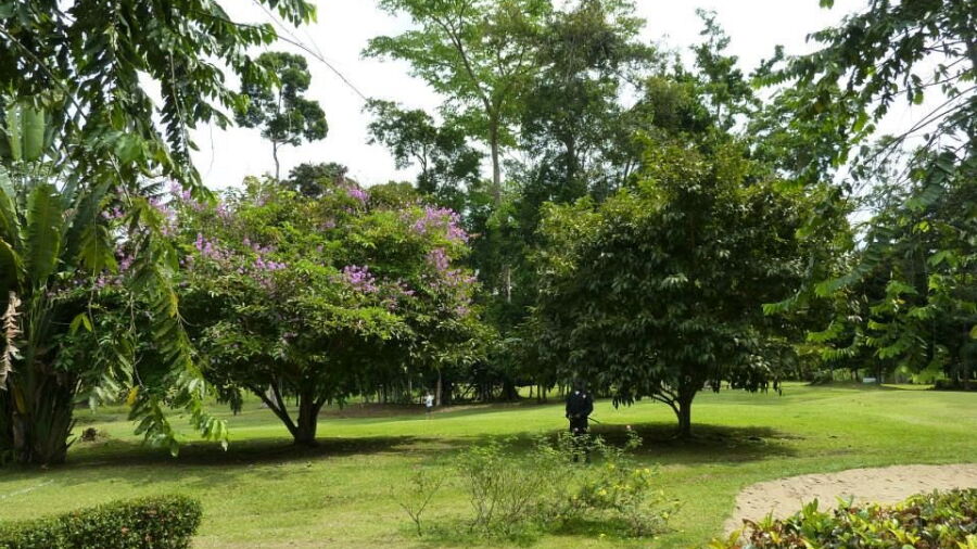 Kribi GCC