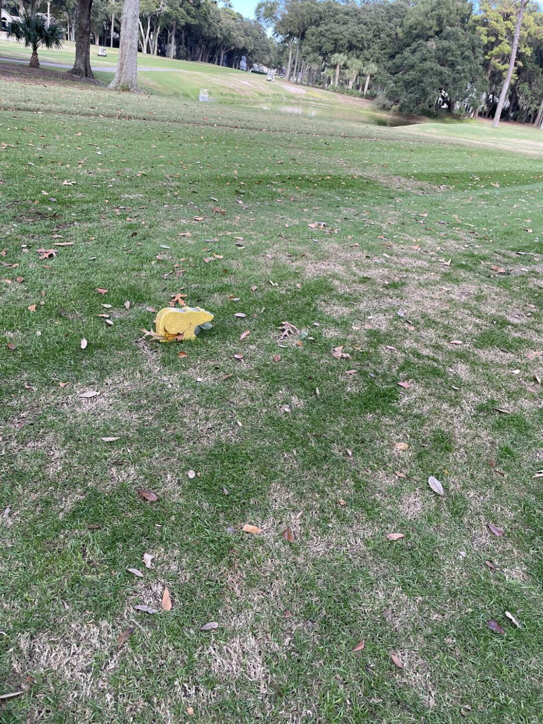 (Photo submitted by esheren on 11/29/2023)
