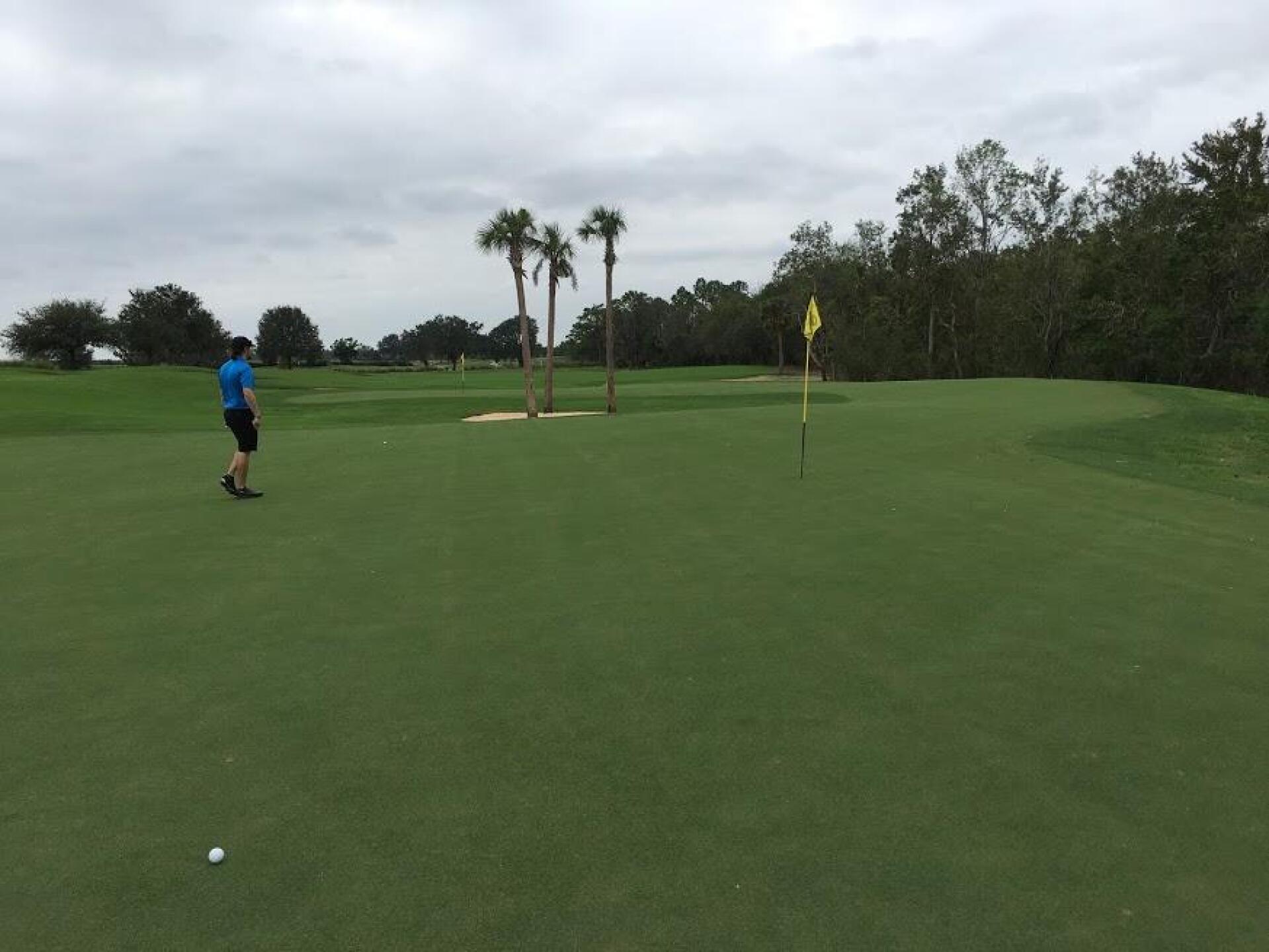 (Photo submitted by Gremlingolfer on 05/15/2019)