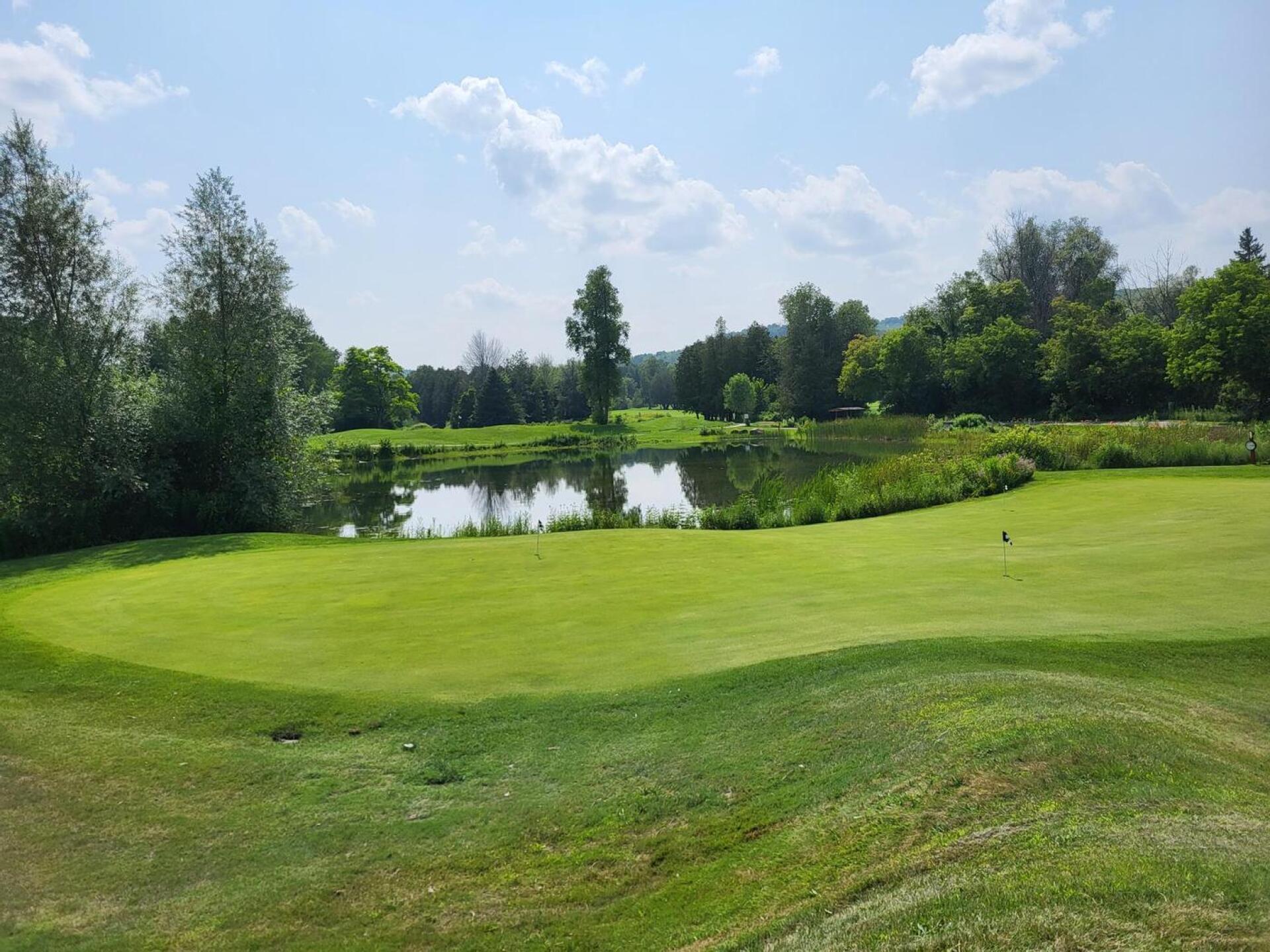 (Photo submitted by qvx24QKsrr3G31qtonTm on 07/25/2023)