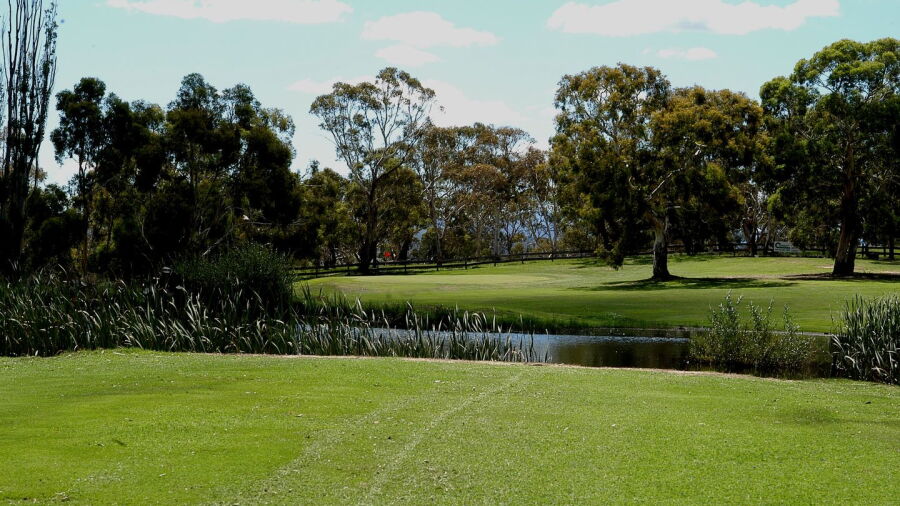 Cooma GC: #11