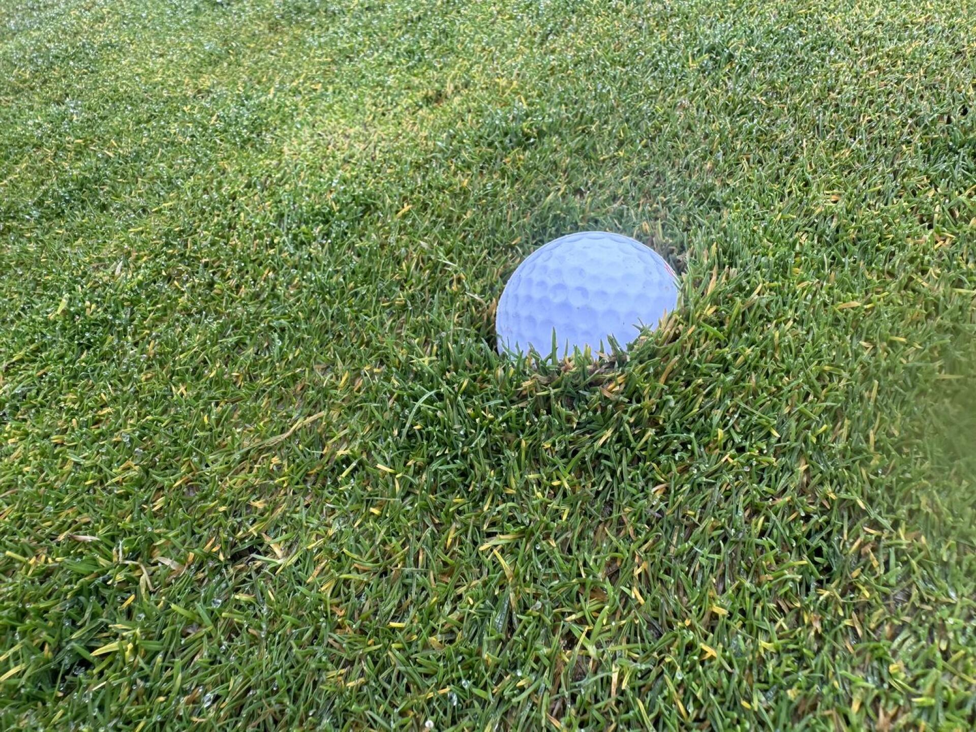 (Photo submitted by grant231 on 03/08/2026)