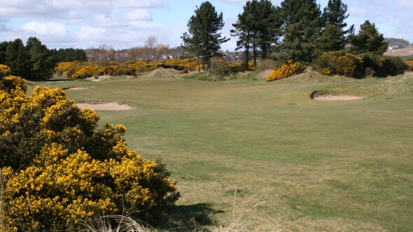 Medal Course at Monifieth Golf Links - hole 13