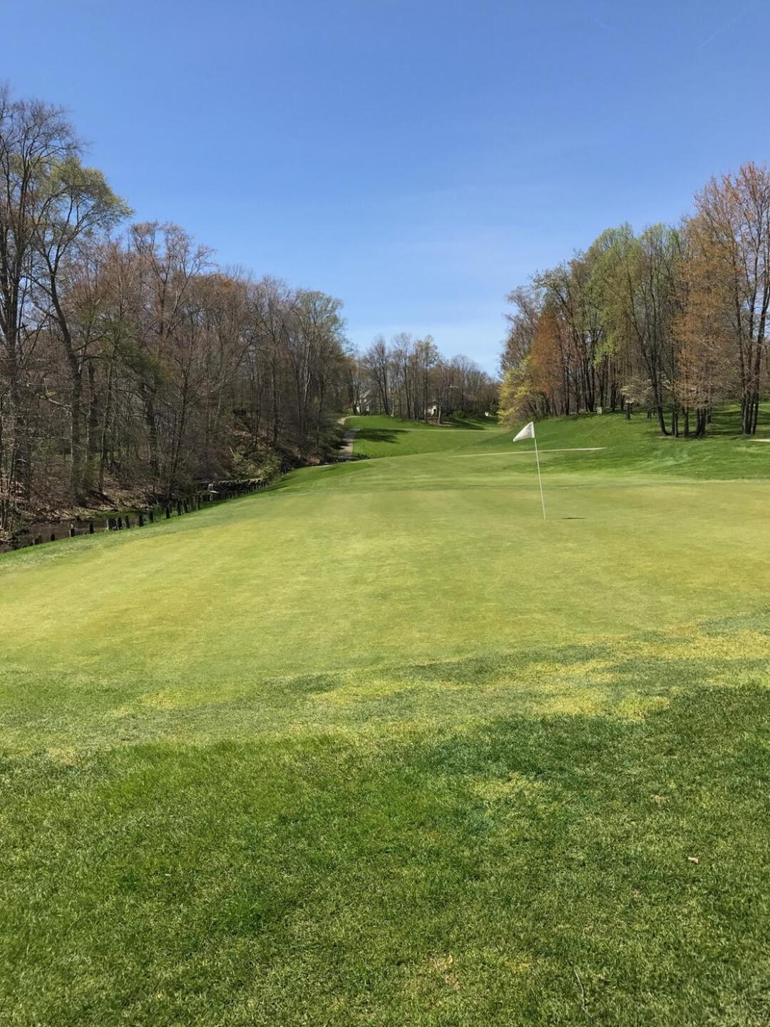 Par 5 12th from behind the green looking up at the landing and layup zones. (Photo submitted by carolinadad on 04/25/2017)