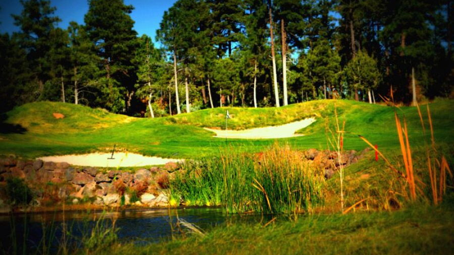 Torreon GC - Cabin