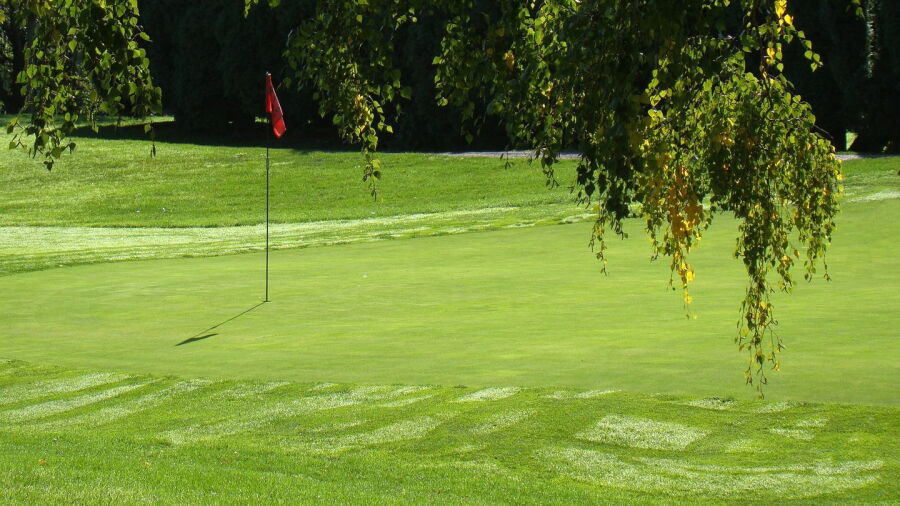 Broadmoor GC: #16