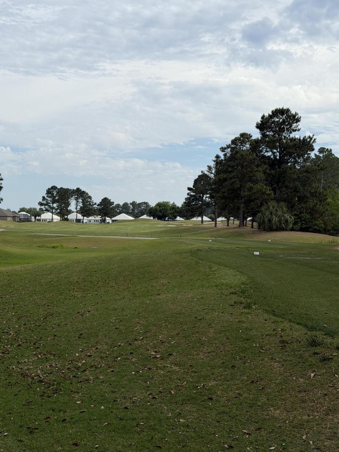 (Photo submitted by 7RpQjXReurrxtdCgZKTG on 04/21/2026)