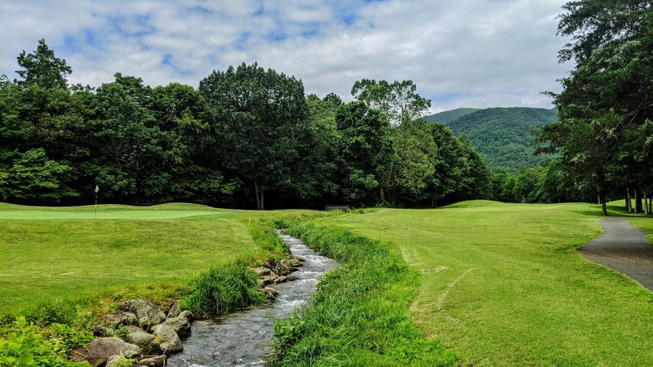 6th at Shamokin still looked good, despite a lack of mowing recently (Photo submitted by Back9Ben on 06/14/2020)