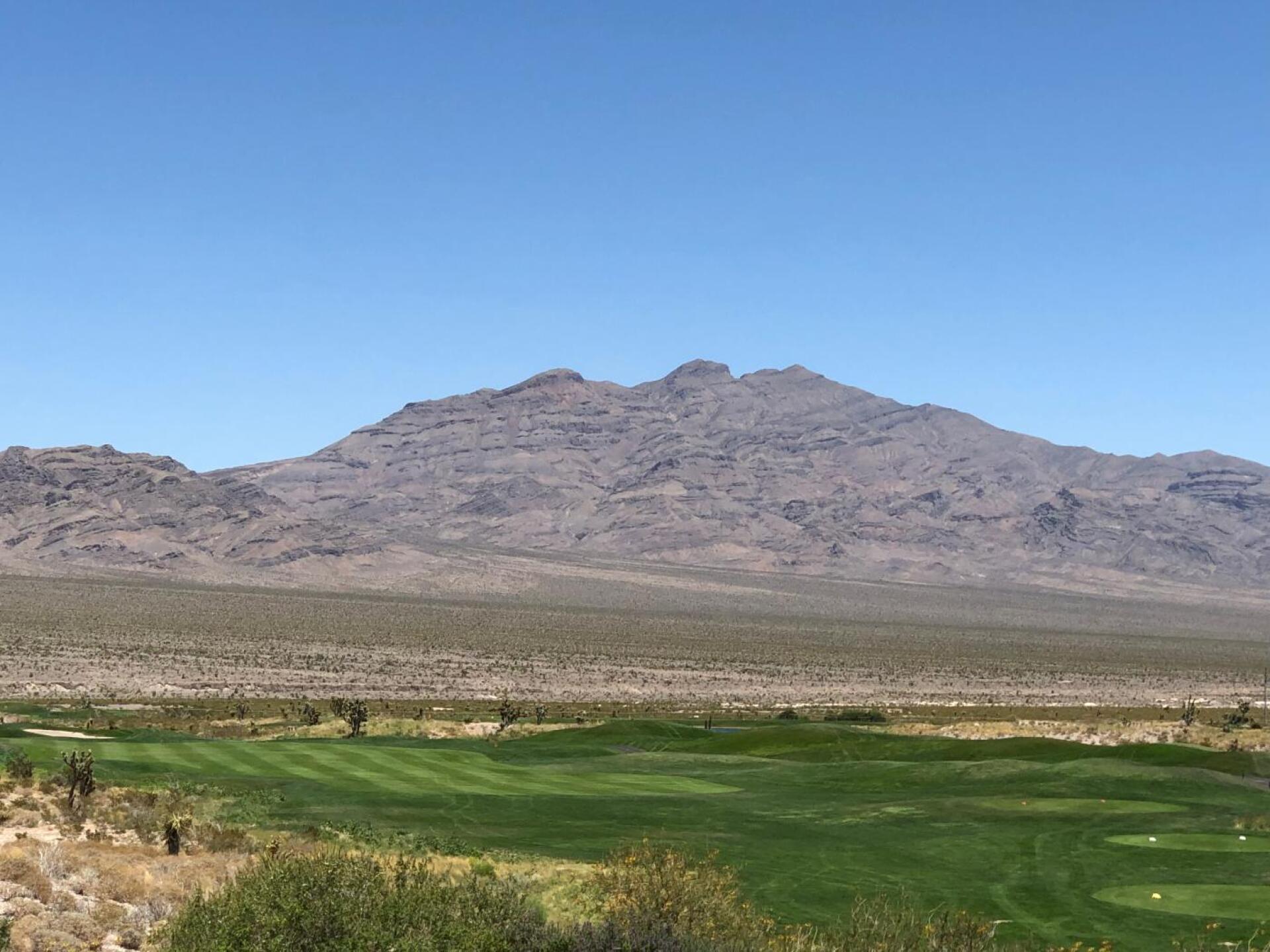 (Photo submitted by u314159357072 on 07/04/2019)