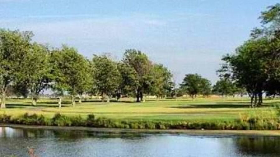 GC at Middle Bay