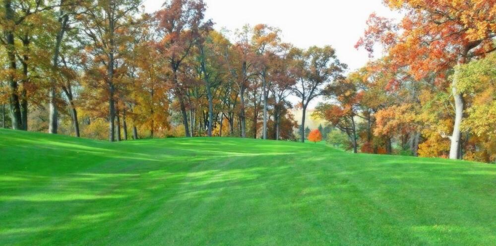 Reid Memorial Park