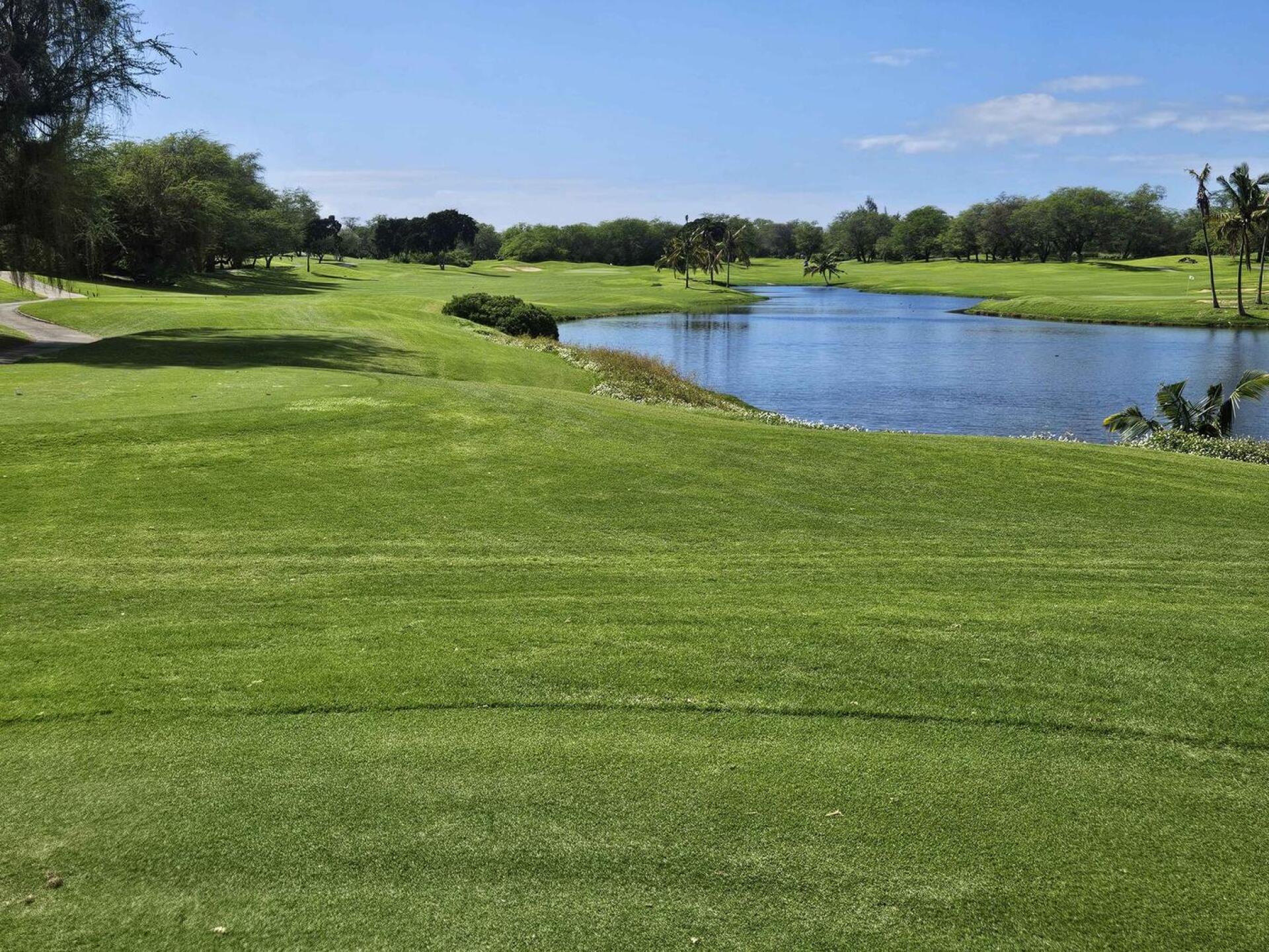 (Photo submitted by u314161622535 on 01/26/2026)