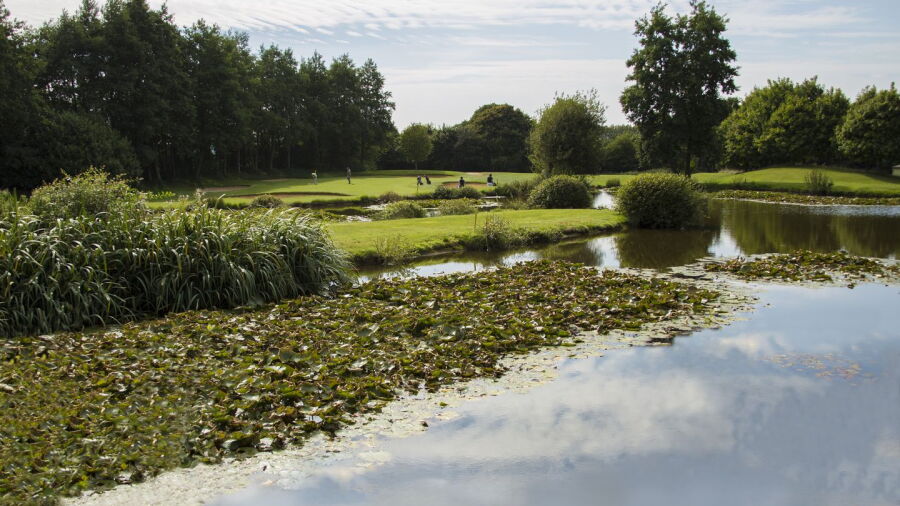 Hurtmore GC: #16