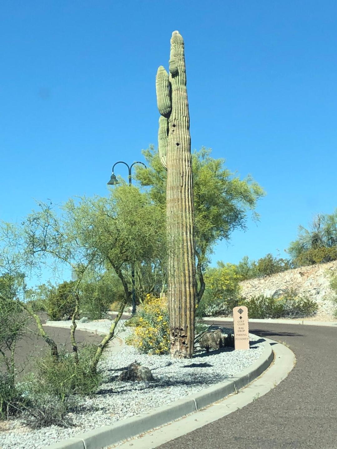 (Photo submitted by BabyLama2014 on 05/02/2019)