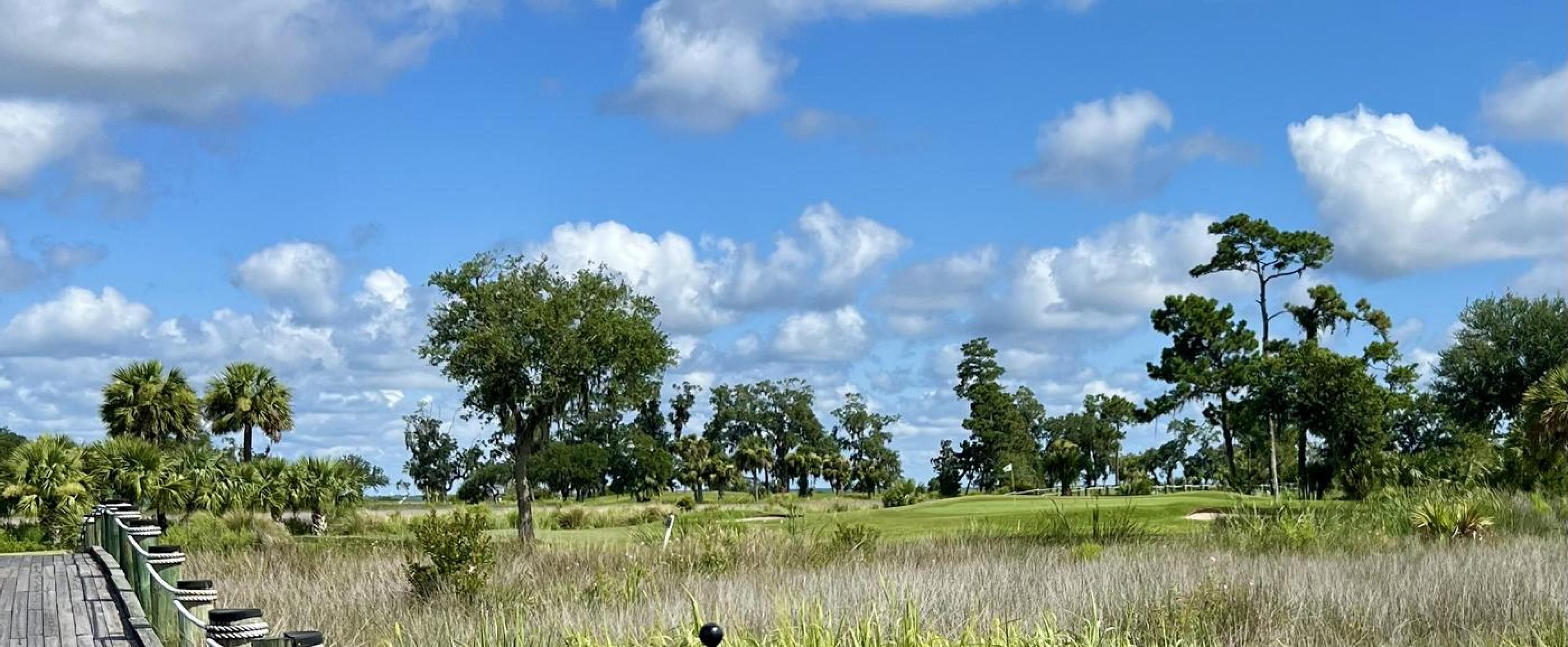 (Photo submitted by tellen on 07/29/2024)