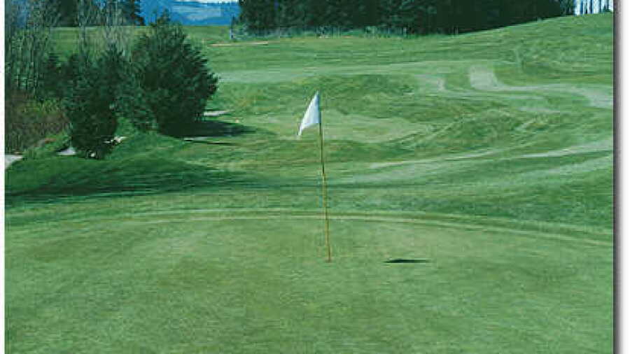 Indian Creek #4
