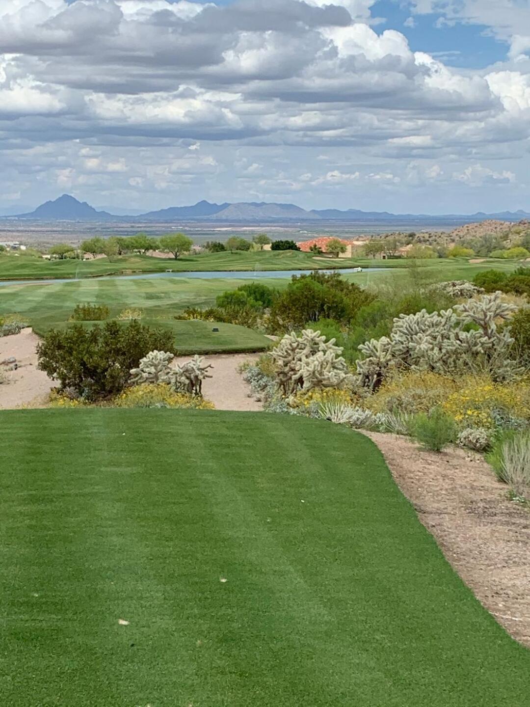 (Photo submitted by Bertoni8 on 05/23/2020)