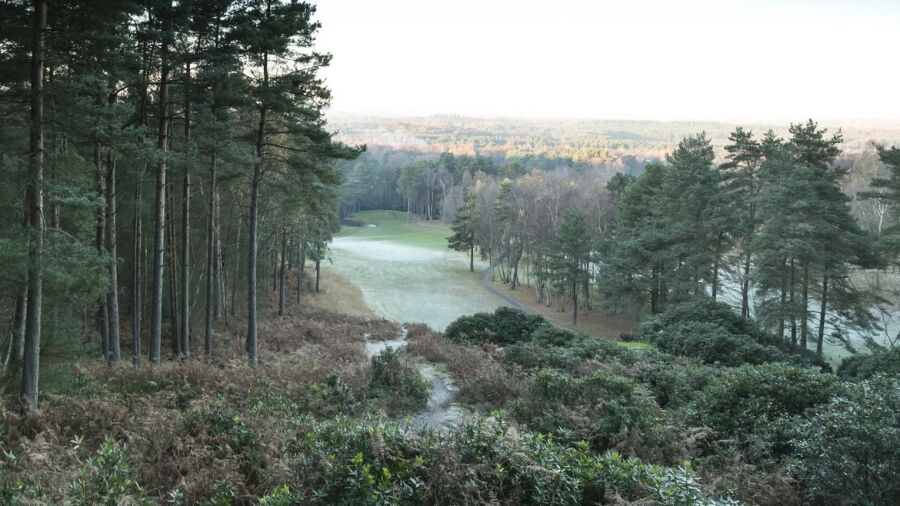 Old Thorns Manor Hotel, Golf & Country Estate