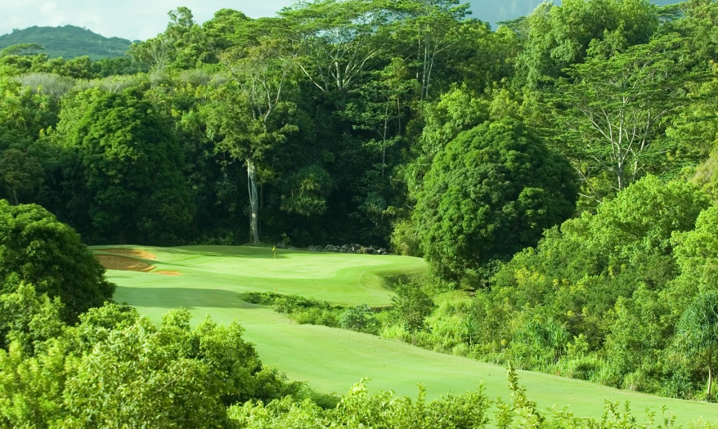 Prince Course at Princeville resort - No. 13