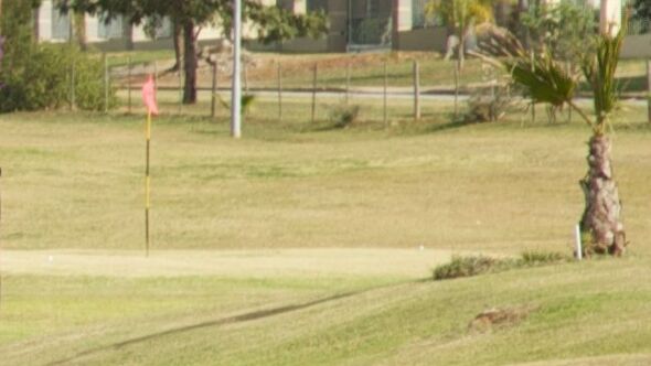 Uitenhage GC