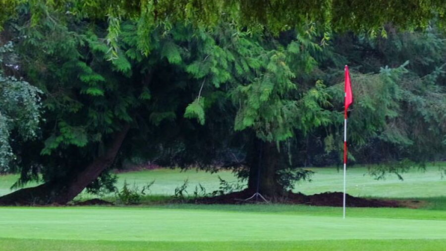 Sunshine Woods GC