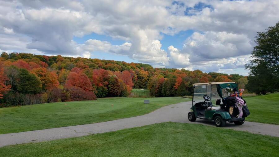 Cherry Downs - fall colors